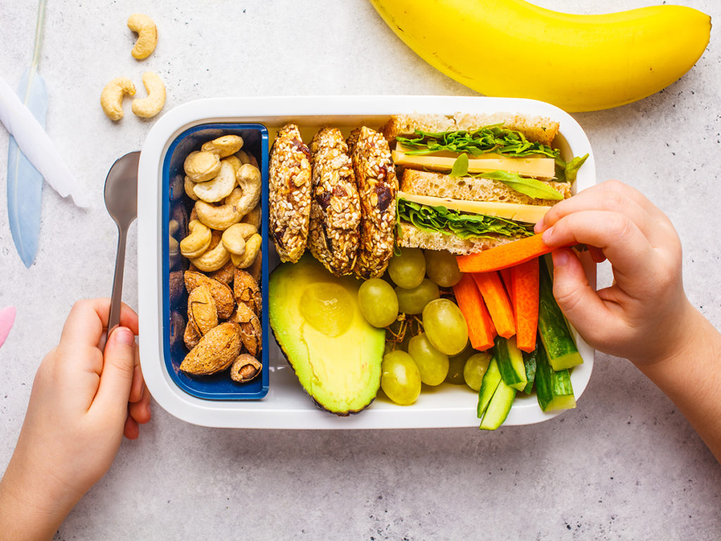 A Dietitian’s Guide To Building A Healthy Lunchbox – Balance Diet